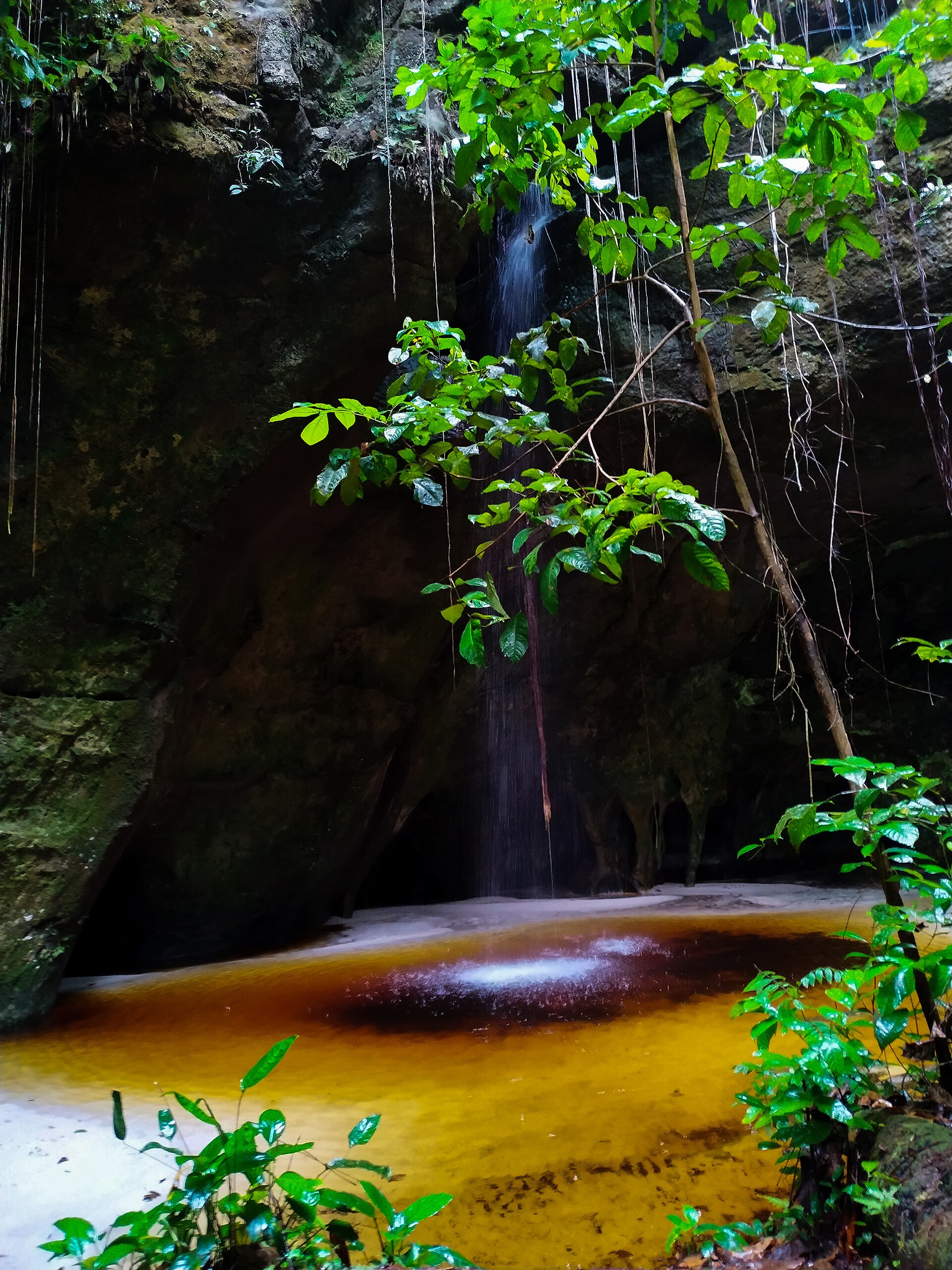 Imagem de referência de Área de Proteção Ambiental de Presidente Figueiredo - Caverna do Moroaga, descrito nos dados abertos como área de Proteção Ambiental de Presidente Figueiredo - Caverna do Moroaga de nível Estadual, localizado (a) em Manaus (AM)