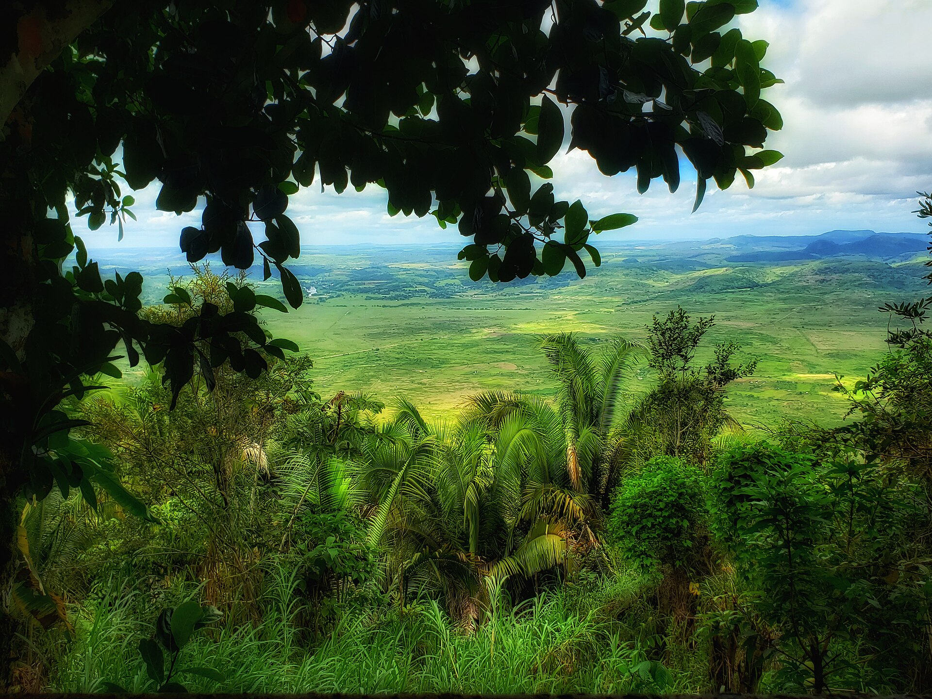 Imagem de referência de Área de Proteção Ambiental de Muricí, descrito nos dados abertos como área de Proteção Ambiental de Muricí de nível Estadual, localizado (a) em Branquinha (AL), Colônia Leopoldina (AL), Ibateguara (AL), Joaquim Gomes (AL), Messias (AL), Murici (AL), Novo Lino (AL), São José da Laje (AL), União dos Palmares (AL)