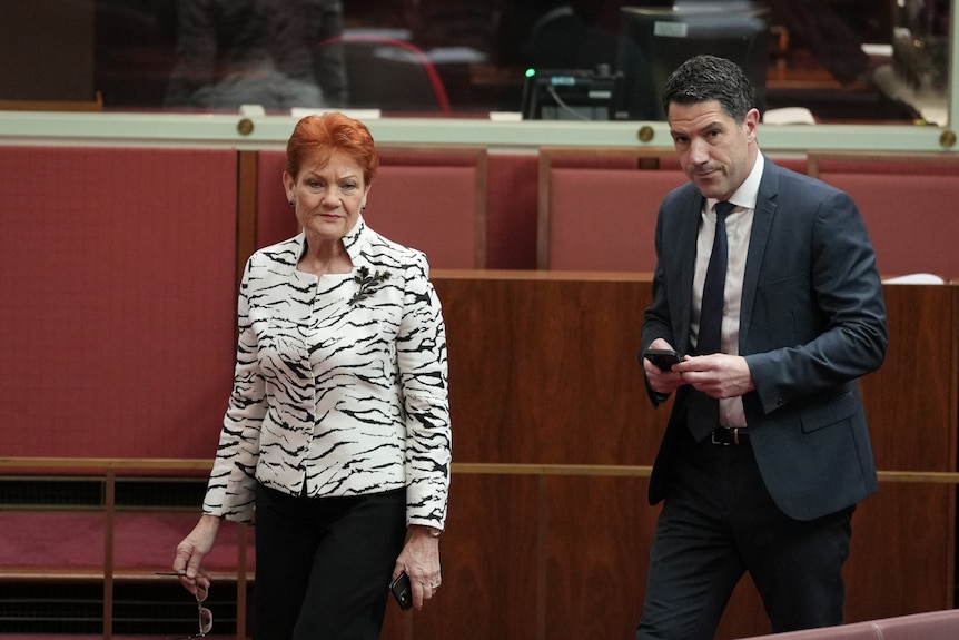 Pauline Hanson, Alex Antic