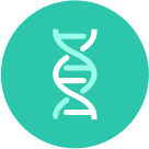 Gordura abdominal e baixa força muscular indicam maior risco de morte